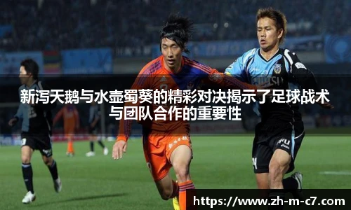 新泻天鹅与水壶蜀葵的精彩对决揭示了足球战术与团队合作的重要性