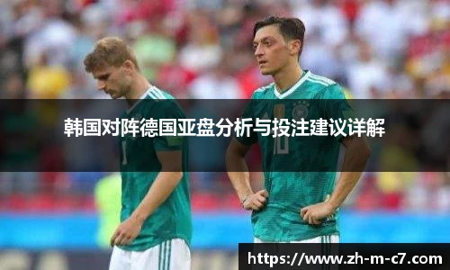 韩国对阵德国亚盘分析与投注建议详解